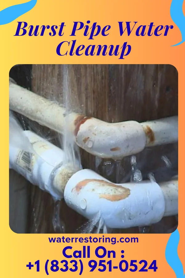 Burst Pipe Water Cleanup in Grantsburg, WI